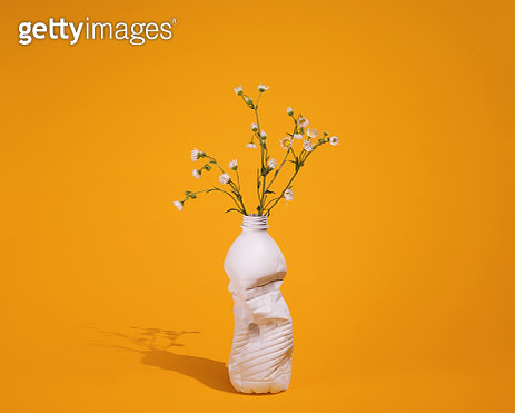 Plastic water bottle repurposed as a vase for a bouquet of Missouri prairie wildflowers (Fleabane) on a yellow background with a strong shadow. - gettyimageskorea