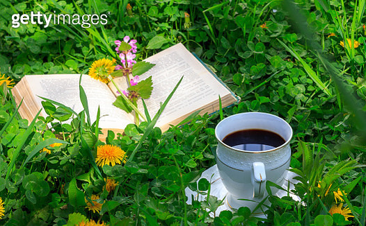 Open Book And A Cup Of Hot Coffee On A Green Meadow In The Summer Or Spring Morning - gettyimageskorea