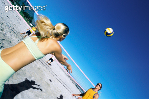 비치발리볼 : 검색결과 - 게티이미지코리아