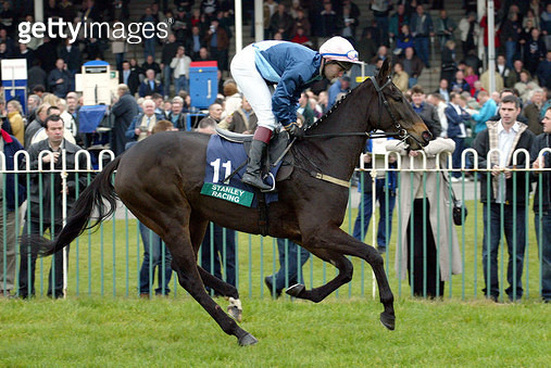 Newtown Races England Newtown : 검색결과 - 게티이미지코리아